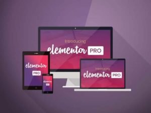 Elementor Pro gpl License